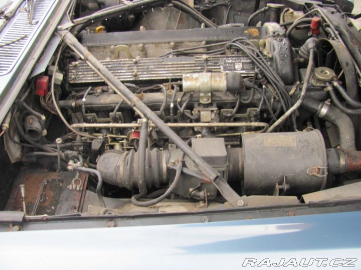 Jaguar XJ 4,2 Serie III 1981