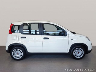 Fiat Panda Italia Cold 1.0 BSG 70k 2024