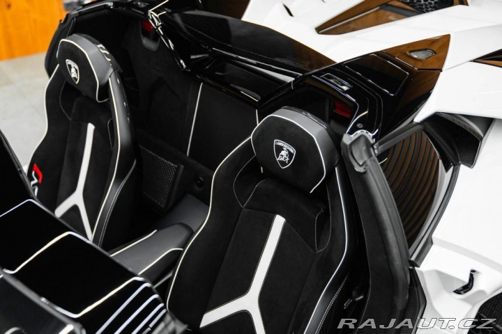 Lamborghini Aventador BR SVJ Roadster, FULL CAR 2020