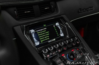 Lamborghini Aventador BR SVJ Roadster, FULL CAR 2020