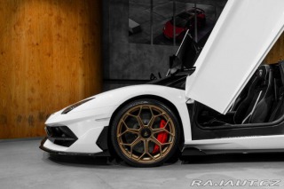 Lamborghini Aventador BR SVJ Roadster, FULL CAR 2020