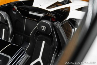Lamborghini Aventador BR SVJ Roadster, FULL CAR 2020