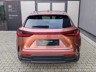 Lexus Ostatní modely NX 350h 2,5 350h 4×4 E-FOUR Execu 2024