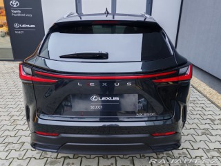 Lexus Ostatní modely NX 350h 2.5 350h 4×4 E-FOUR Execu 2024
