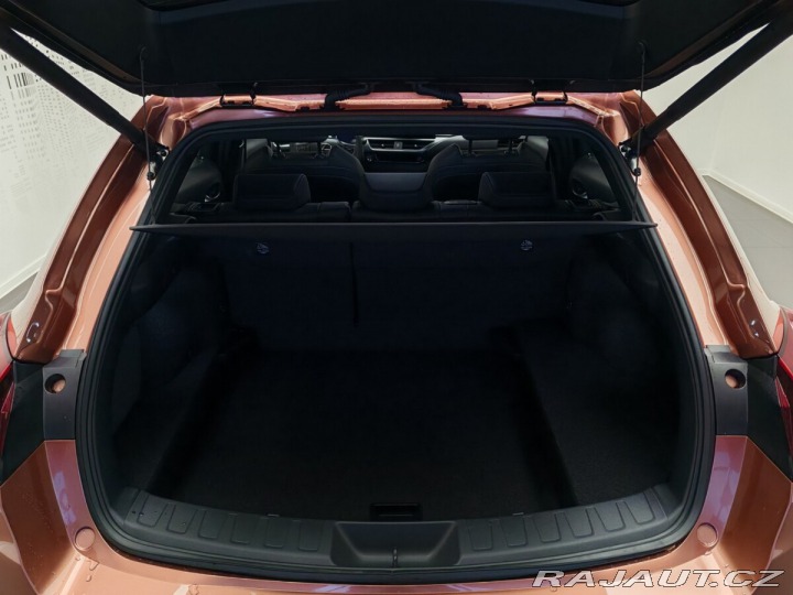 Lexus Ostatní modely UX 300h F Sport Design 2024