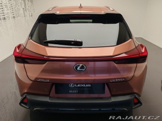 Lexus Ostatní modely UX 300h F Sport Design 2024