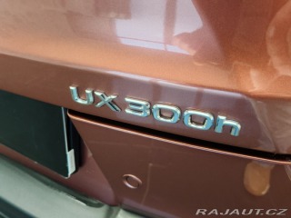Lexus Ostatní modely UX 300h F Sport Design 2024