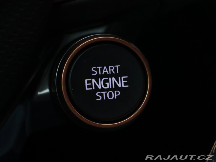 Cupra Formentor 2,0 TSI 228kW Panorama DP 2021