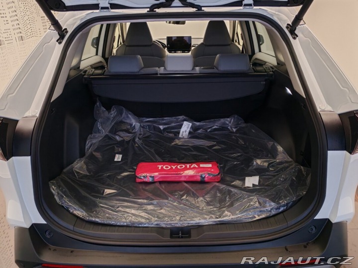 Toyota RAV4 Executive 2.5 TNGA HEV 17 2024