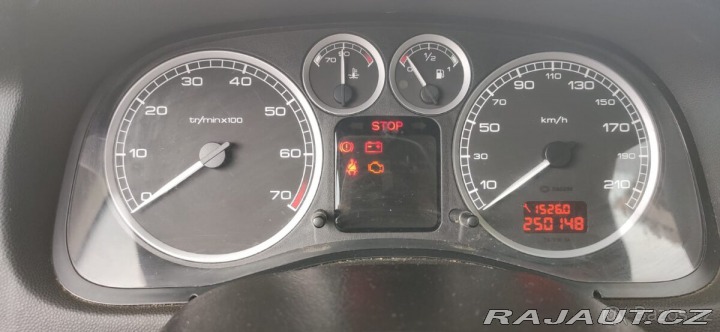 Peugeot 307  2005