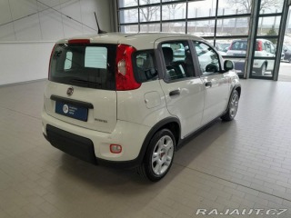 Fiat Panda 1.0 FireFly 70k 2024