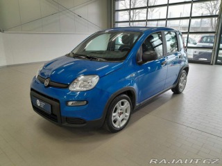 Fiat Panda 1.0 FireFly 70k 2024