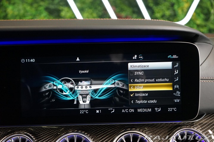Mercedes-Benz AMG GT 63 S 4MATIC+ Magno Burm Z 2020