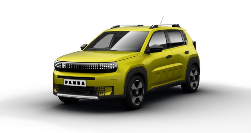Fiat Panda Electric La Prima 113k 44
