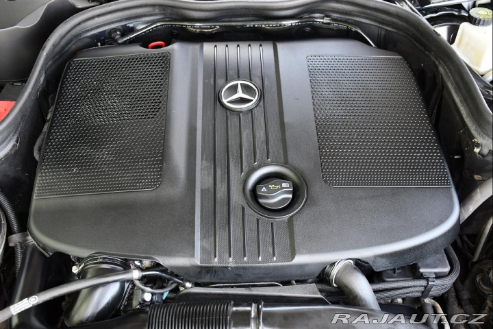 Mercedes-Benz E 220CDI AVANTGARDE A/T 2xK 2009