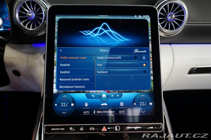 Mercedes-Benz SL 55 AMG 4Matic+ Burmester 2022