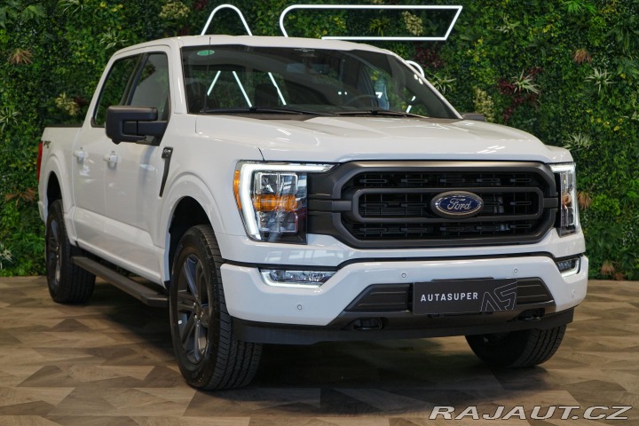 Ford F-150 XLT 5.0 V8 75-Years 360 T 2025