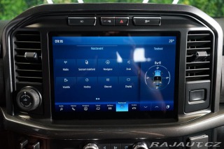 Ford F-150 XLT 5.0 V8 75-Years 360 T 2025