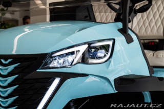 Ostatní značky Ostatní modely 4+2 Golf Cart Kamera/Navi 2025