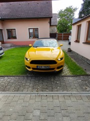 Ford Mustang 3,7   V6