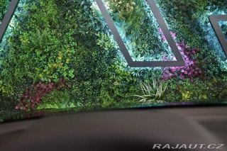 Audi SQ5 TDI*VZDUCH*NEZ.TOP*B& 2025