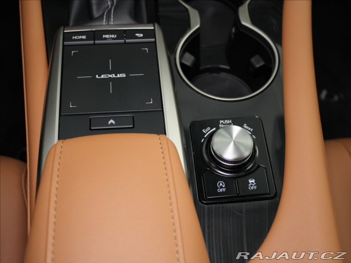Lexus RX 2,0 t AWD Limited 21 500k 2023