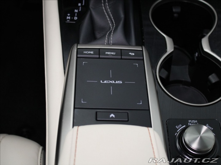 Lexus RX 2,0 t AWD Limited 40 550k 2022