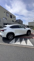 Lexus  NX 300