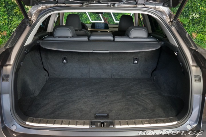 Lexus Ostatní modely RX 300 4X4*CVT*LIMITED*DRCC 2022