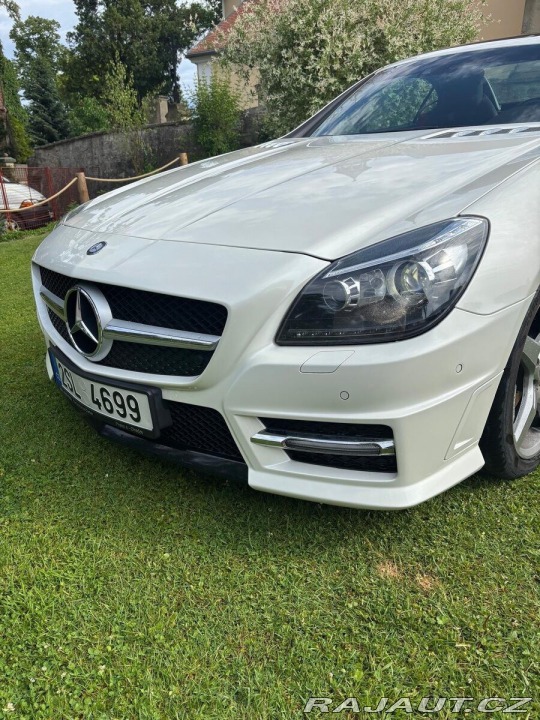 Mercedes-Benz SLK 2,5 250 CDi 1800