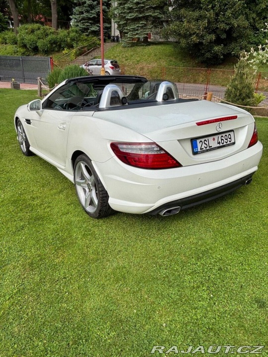 Mercedes-Benz SLK 2,5 250 CDi 1800