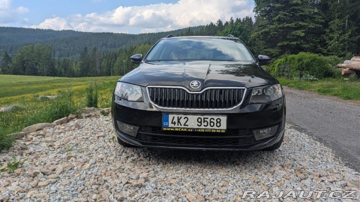Škoda Octavia 2,0 TDI 135 kW 4x4 DSG, 2016
