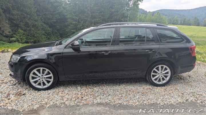 Škoda Octavia 2,0 TDI 135 kW 4x4 DSG, 2016
