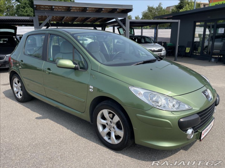 Peugeot 307 2,0 16V D.Klima*Alu*ČR*70 2006