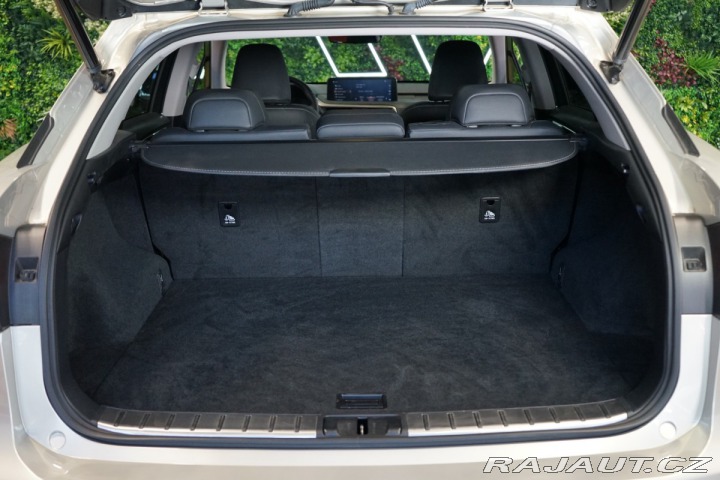 Lexus Ostatní modely RX 300 4X4*CVT*LIMITED*DRCC 2023