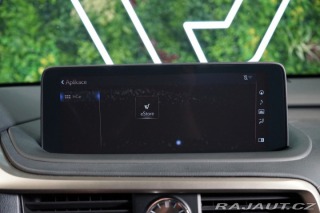 Lexus Ostatní modely RX 300 4X4*CVT*LIMITED*DRCC 2023