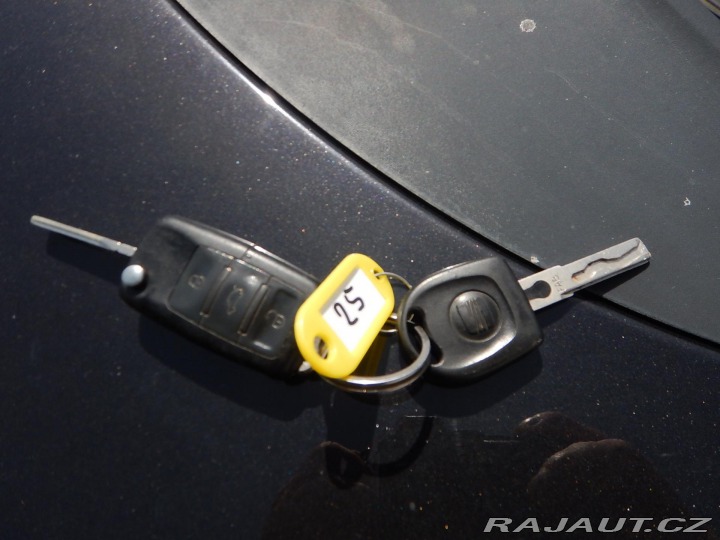 Seat Leon 1.9 TDi 77 kw 2007