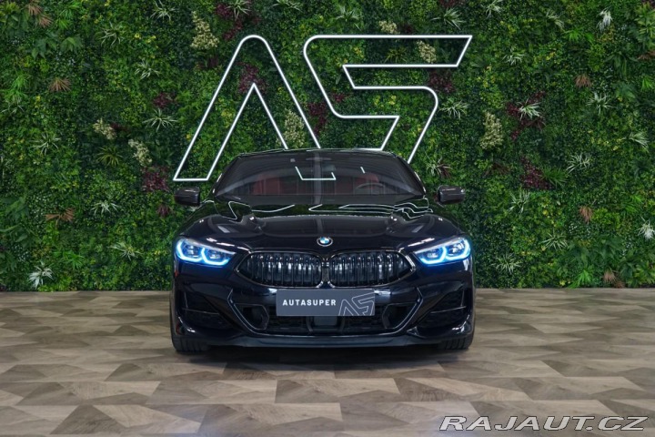 BMW 8 COUPÉ*CARBON*H/K*SERVIS*N 2019
