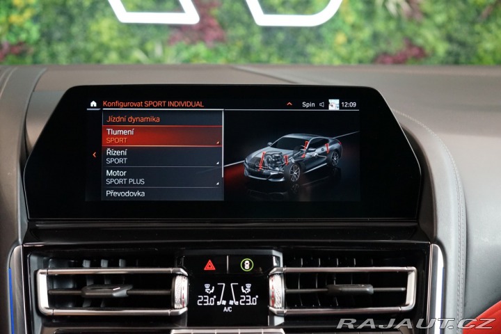 BMW 8 COUPÉ*CARBON*H/K*SERVIS*N 2019