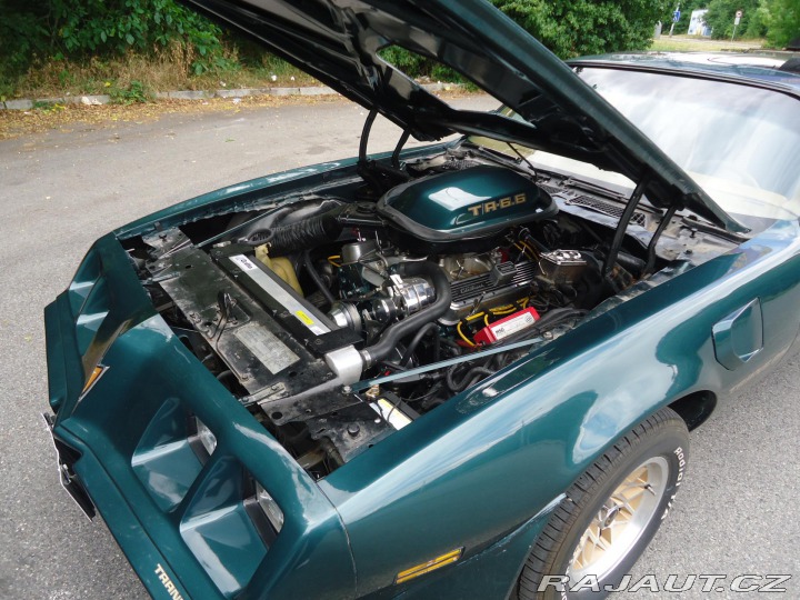 Pontiac Firebird Trans Am 6.6l Man 1979