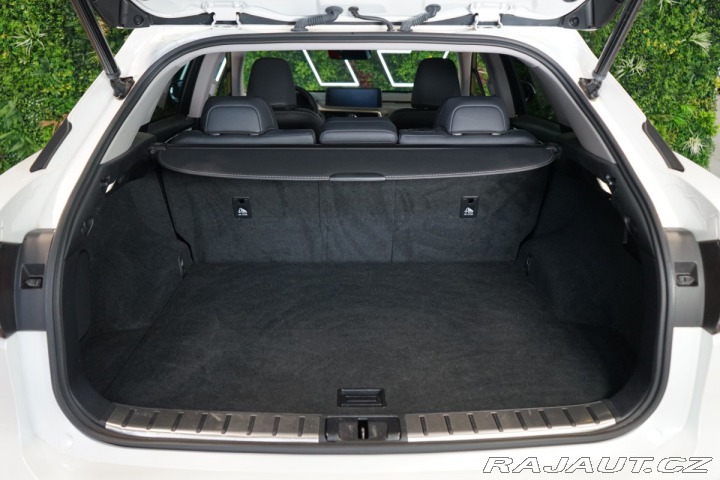 Lexus Ostatní modely RX 300 4X4*CVT*LIMITED*DRCC 2022