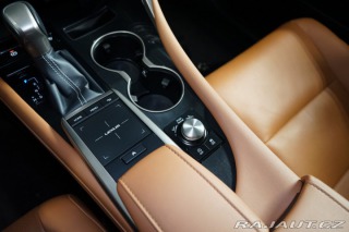 Lexus Ostatní modely RX 300 4X4*CVT*BUSINESS EDITION* 2022