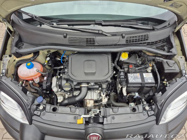 Fiat Panda 1.0 Mild-Hybrid City Plus 2023