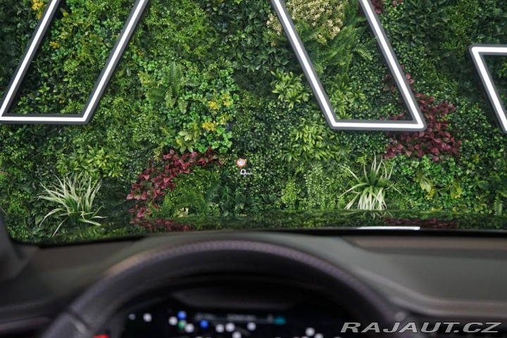 Audi RS6 AVANT*PANO*DRC*B&O*CE 2021