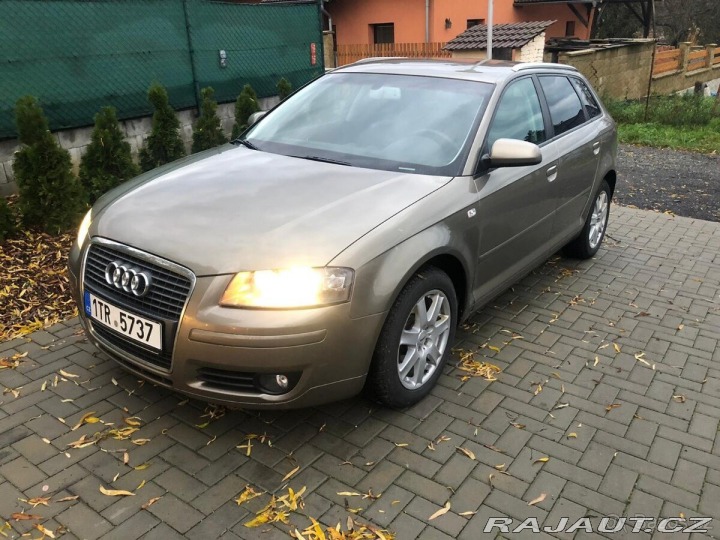 Audi A3 1,6 Fsi rv.2007 2007