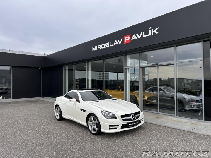 Mercedes-Benz SLK 250 Roadster AMG designo 2013