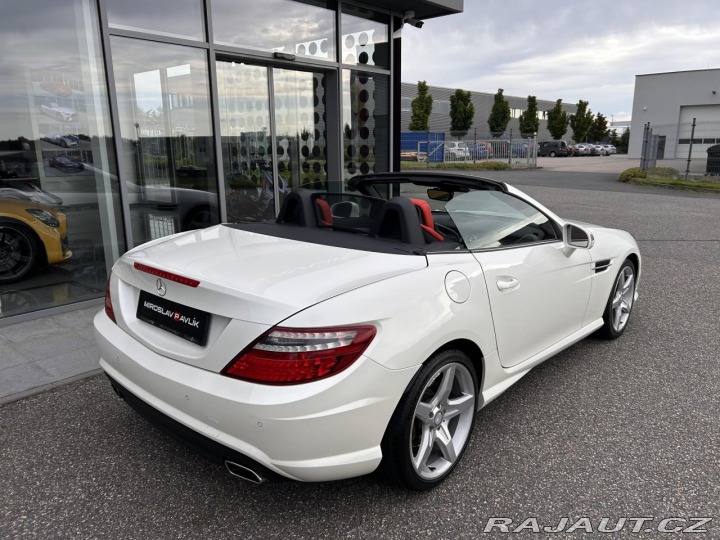 Mercedes-Benz SLK 250 Roadster AMG designo 2013