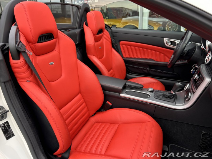 Mercedes-Benz SLK 250 Roadster AMG designo 2013