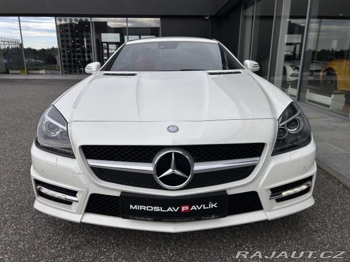 Mercedes-Benz SLK 250 Roadster AMG designo 2013