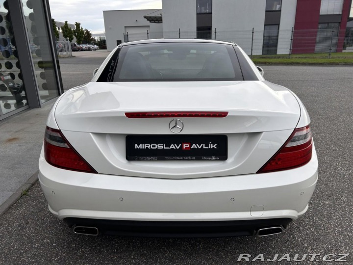 Mercedes-Benz SLK 250 Roadster AMG designo 2013